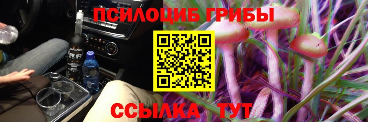 Галлюциногенные грибы MAGIC MUSHROOMS  Галлюциногенные грибы ЛСД  Унеча  Вход с VPN 